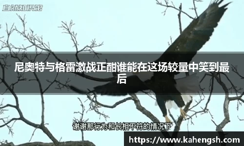 博鱼中国官方入口